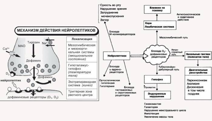 Схема лечения галоперидолом